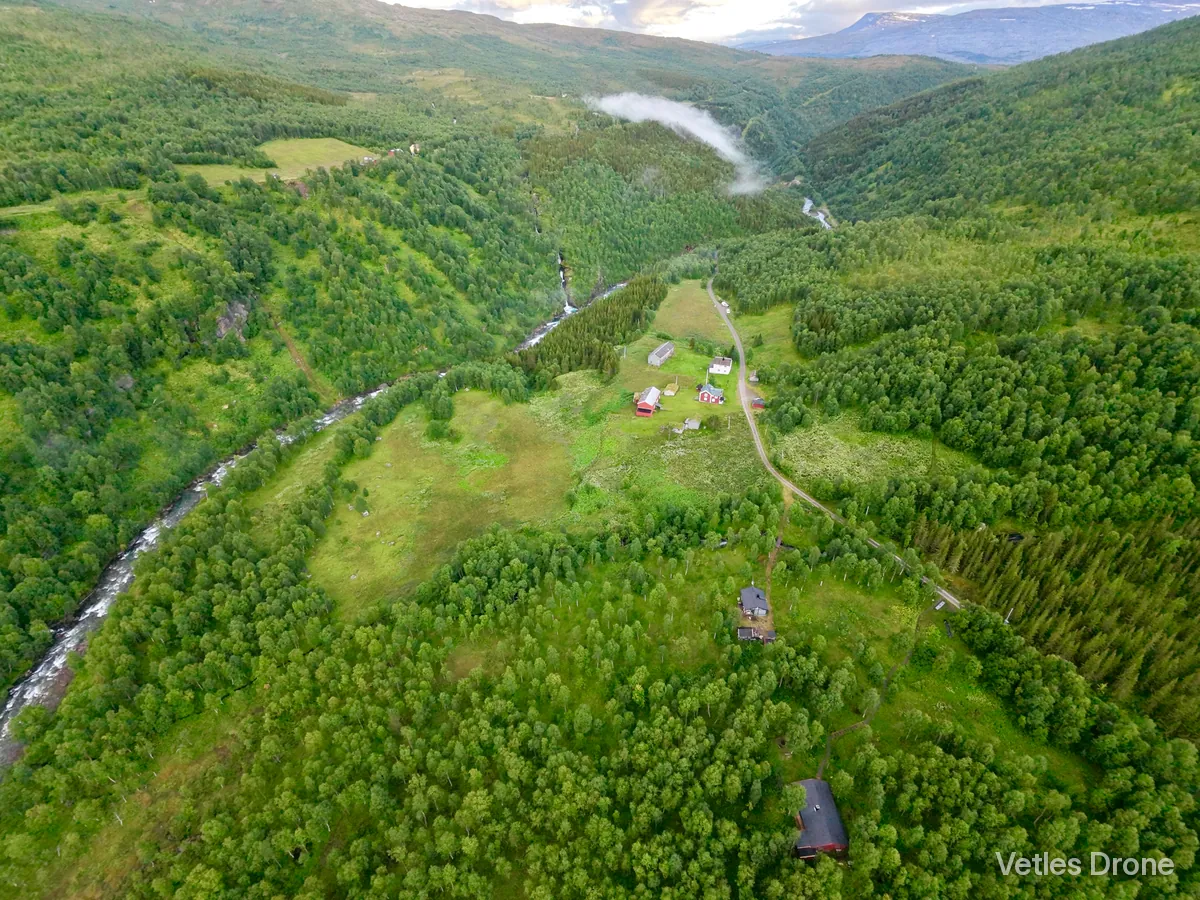 Grønn dal med skog, elv og jorder en sommerkveld i Nordland, sett fra drone