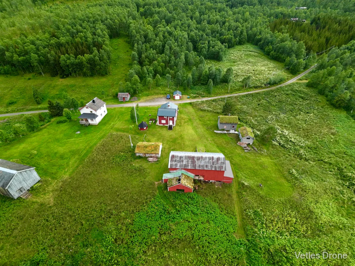Liten gård med røde og hvite hus, grønne jorder og bjørkeskog i en dal i Nordland, sett skrått ovenfra